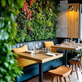 Cristóvão Pereira Martins